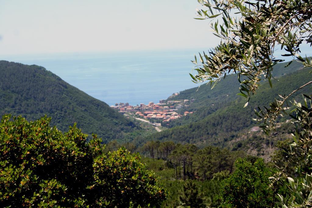 Hotel 5 Terre Nel Sole Deiva Marina Zewnętrze zdjęcie