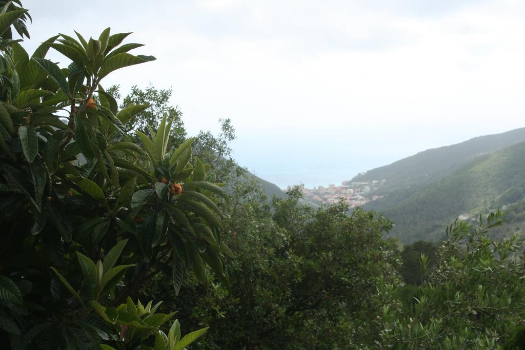 Hotel 5 Terre Nel Sole Deiva Marina Zewnętrze zdjęcie