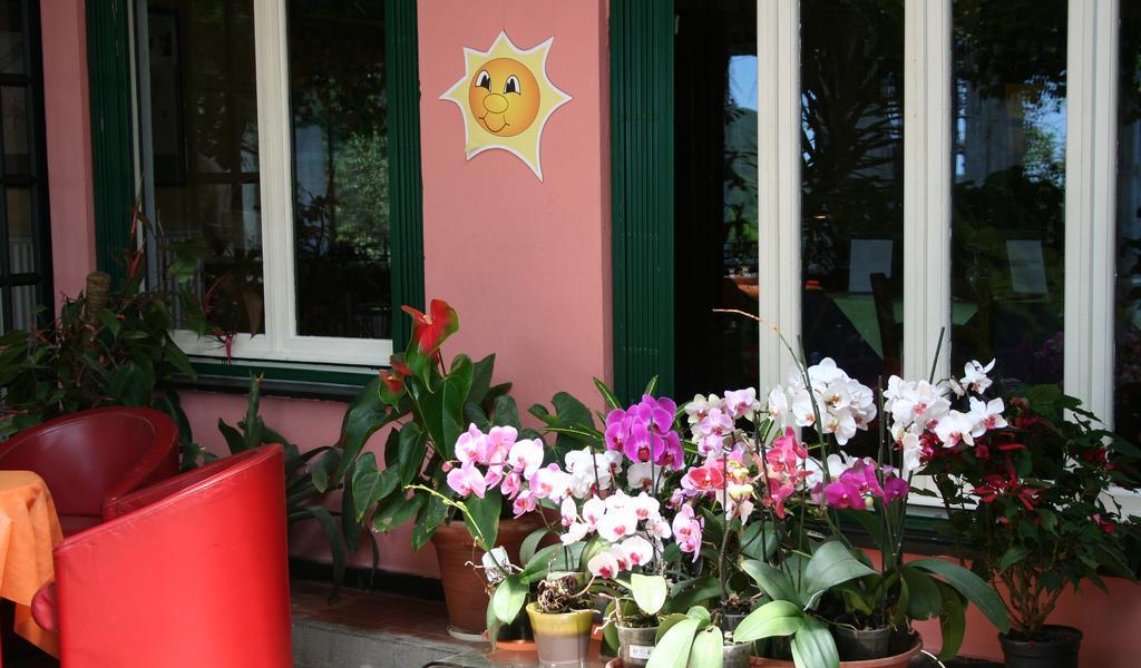 Hotel 5 Terre Nel Sole Deiva Marina Zewnętrze zdjęcie